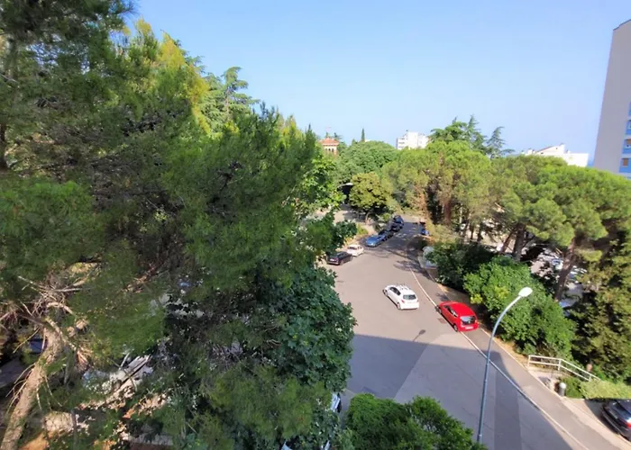 Viva La Vida Lägenhet